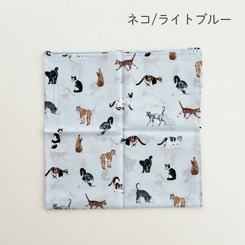 CINQ ���� �ϥ󥫥� ���åȥ�