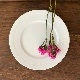 G.D.A. Limoges dinner plate �������ǡ����� ��⡼���� �ǥ��ʡ��ץ졼�� ʿ��