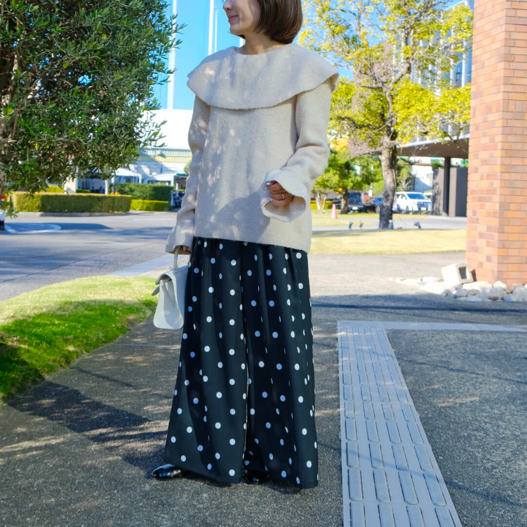 �ɥåȥ����꡼�磻�ɥѥ��(BLACK)