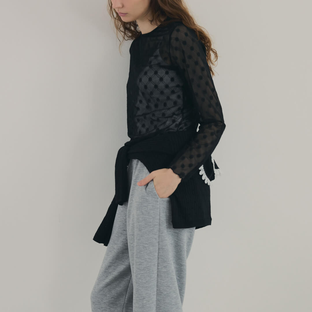 Fleur Sheer Tops(BLACK) | 新着商品 | UN MINOU