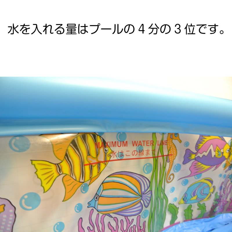 ビニールプール 丸型 水遊び ファミリープール 150 / 簡単 設置 準備 家庭用 水遊び