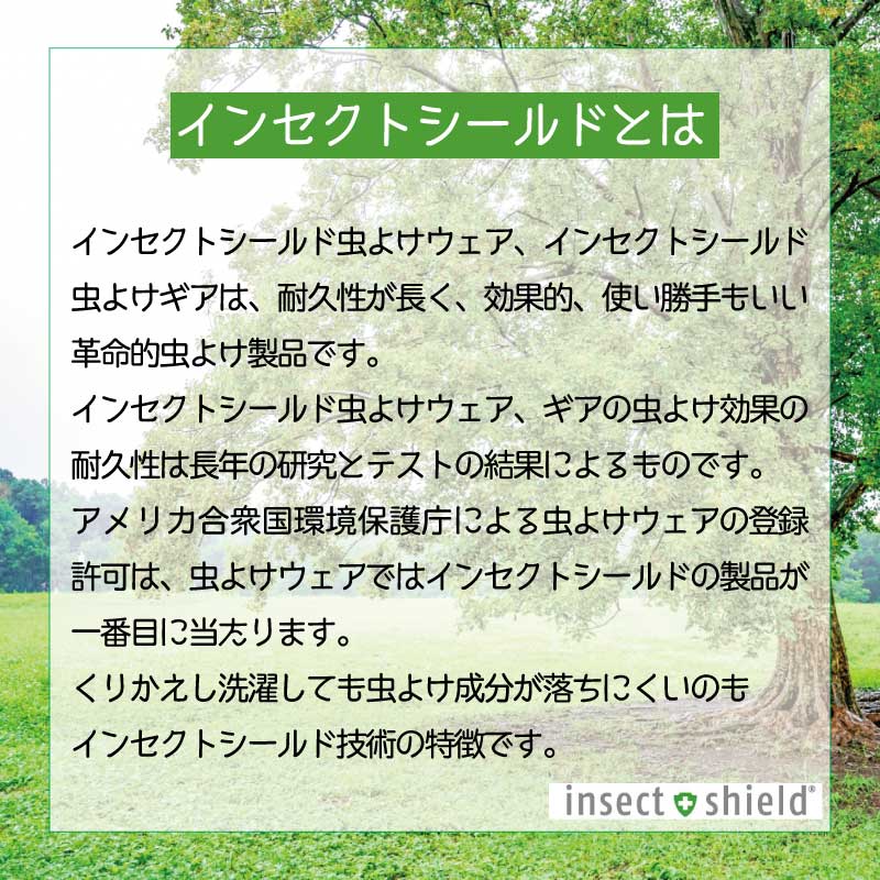インセクトシールド 虫よけ素材 レジャー テント 4人用 ／キャンプ アウトドア