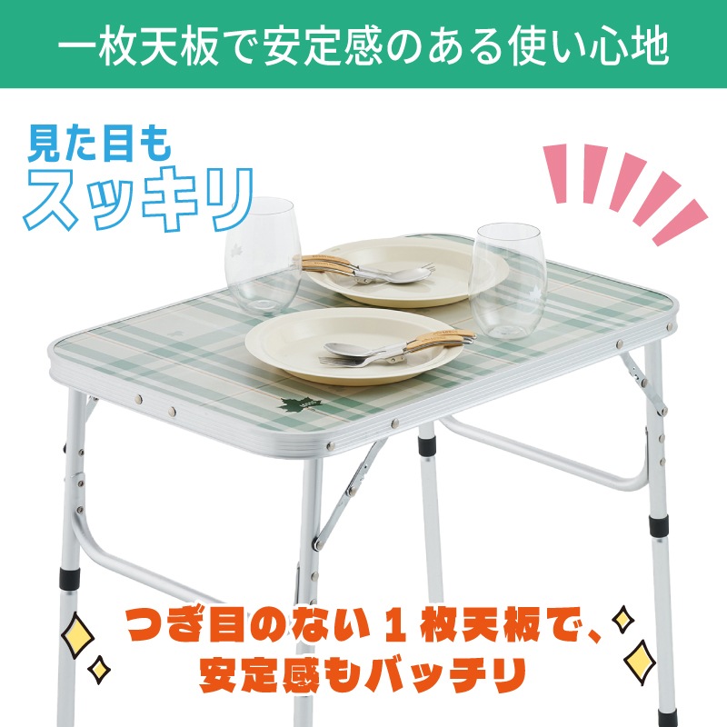 LOGOS ロゴス ソリッドテーブル 6040 / 73511001 アウトドアテーブル 2段階調整 コンパクト 軽量 アルミフレーム 組立て