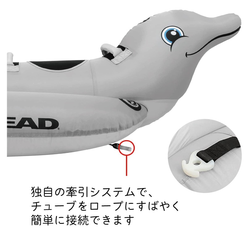 Airhead エアヘッド トーイングチューブ 2人乗り ドルフィン Dolphin イルカ