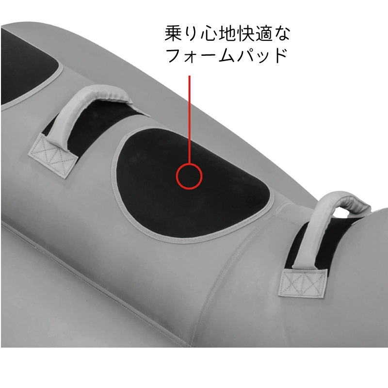 Airhead エアヘッド トーイングチューブ 2人乗り ドルフィン Dolphin イルカ
