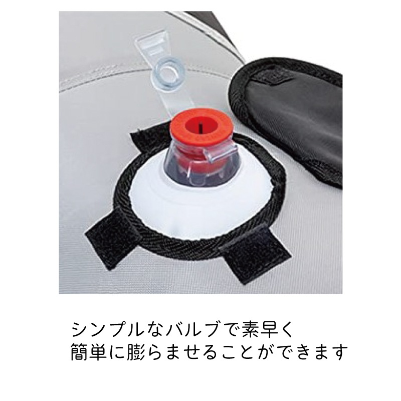 Airhead エアヘッド トーイングチューブ 2人乗り ドルフィン Dolphin イルカ