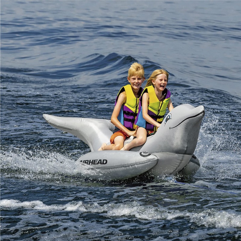 Airhead エアヘッド トーイングチューブ 2人乗り ドルフィン Dolphin イルカ