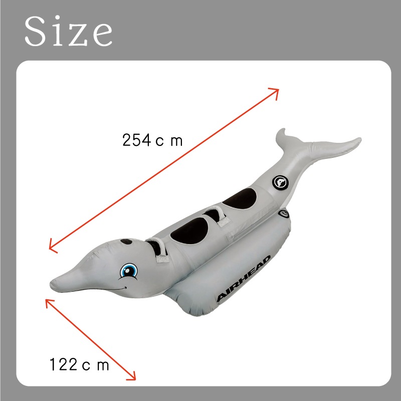 Airhead エアヘッド トーイングチューブ 2人乗り ドルフィン Dolphin イルカ