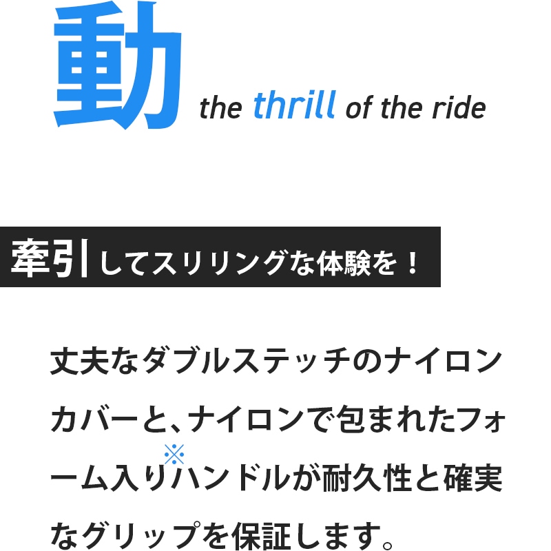 AIRHEAD エアヘッド Chill 'N Thrill チル&スリル 3人乗り / トーイングチューブ ドリンクホルダー付