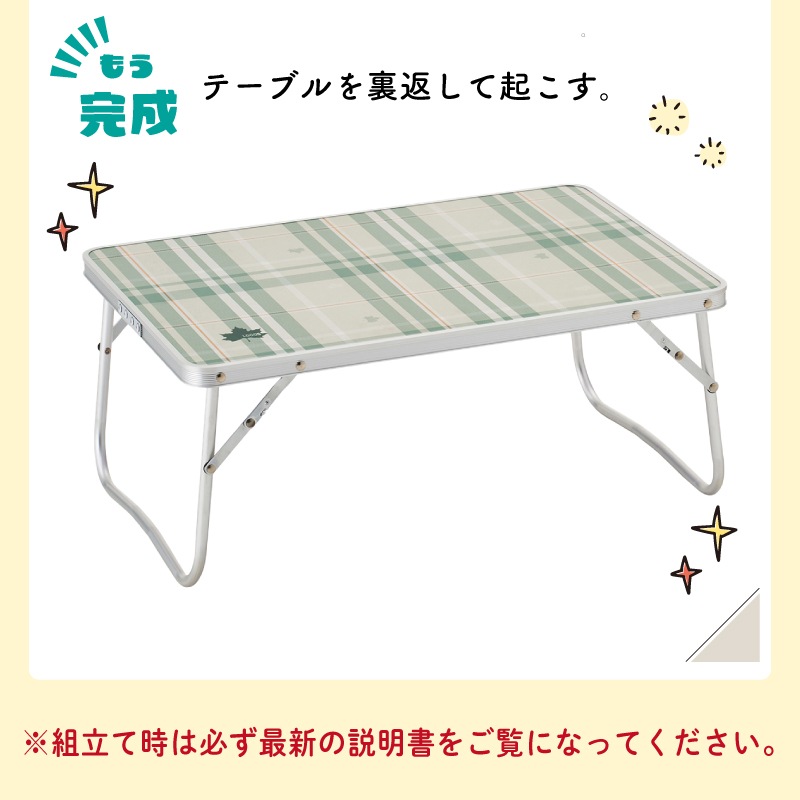 LOGOS ロゴス ソリッド ローテーブル 6040 / 73521000 アウトドア テーブル 屋内・屋外 コンパクト 軽量 耐荷重40㎏