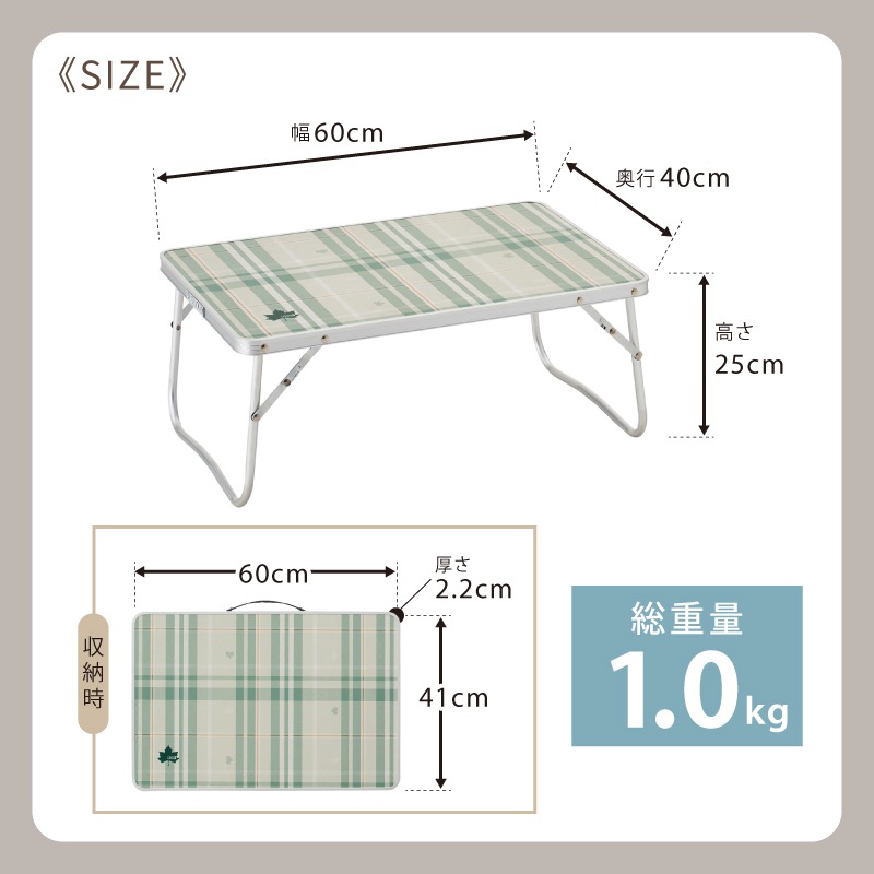 LOGOS ロゴス ソリッド ローテーブル 6040 / 73521000 アウトドア テーブル 屋内・屋外 コンパクト 軽量 耐荷重40㎏