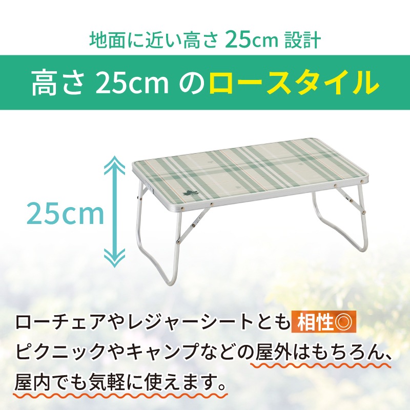 LOGOS ロゴス ソリッド ローテーブル 6040 / 73521000 アウトドア テーブル 屋内・屋外 コンパクト 軽量 耐荷重40㎏
