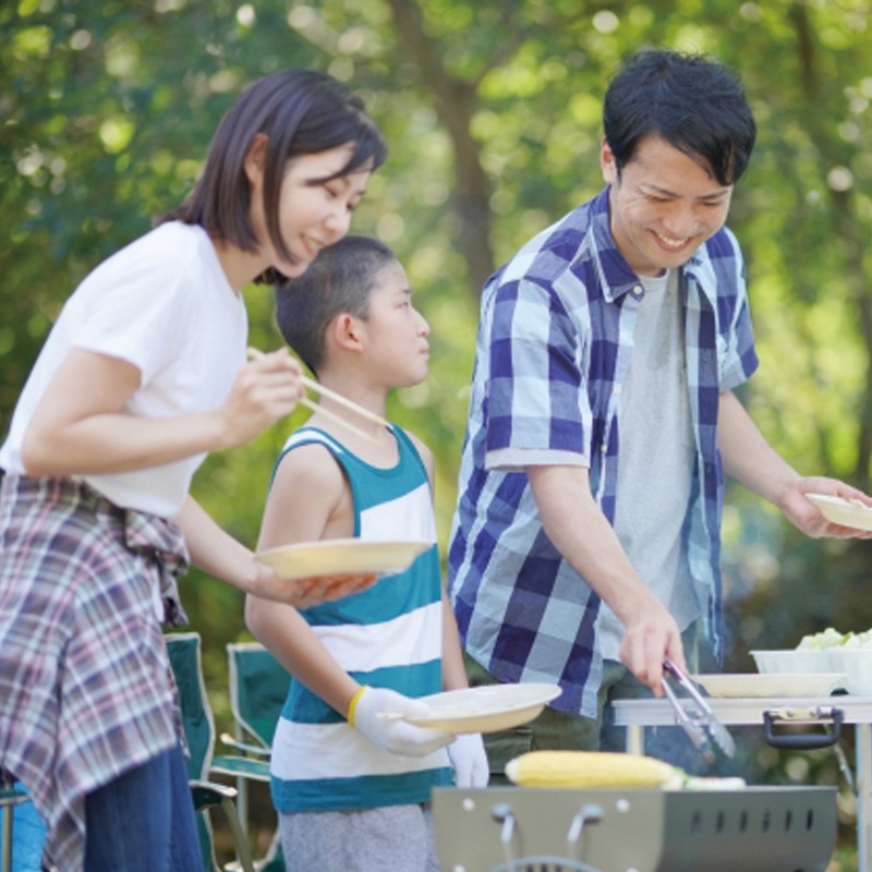 LOGOS ロゴス neos ALカーサイドオーニング-AI 71805055 / 車 キャンプ アウトドア リビング オートキャンプ