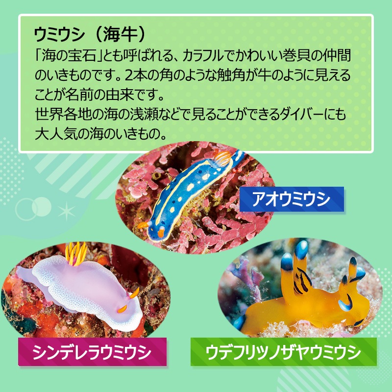 ユニマットマリン｜日用雑貨通販】＜入荷しました！＞【選択あり