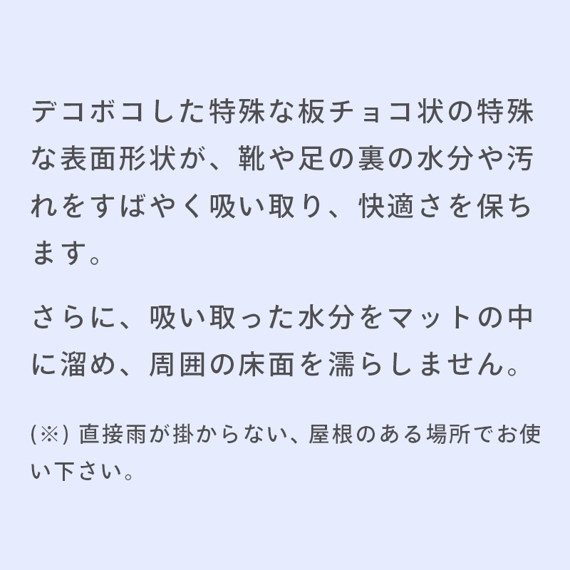 ＜メーカー直送＞【選択あり】クリーンテックス ウォーターホースT 吸水 速乾 マット　/　Lサイズ 88×116cm