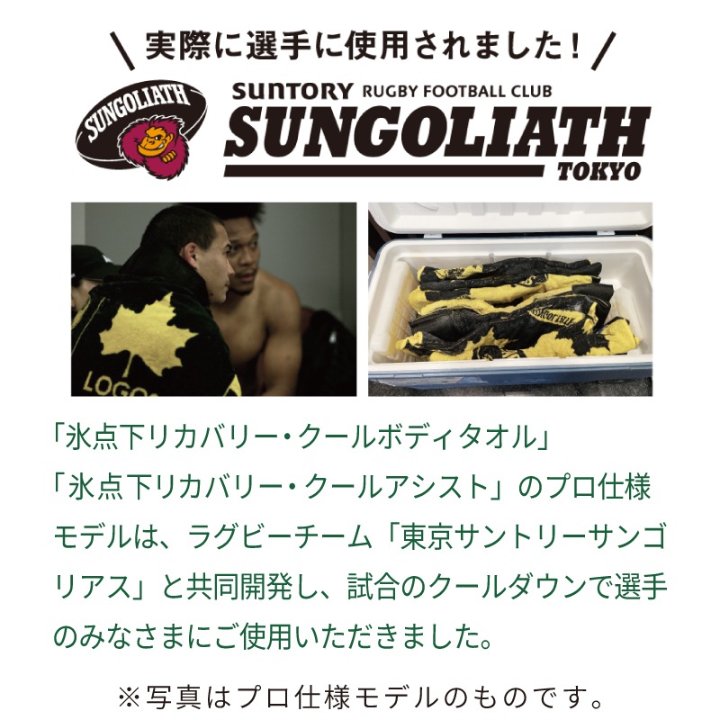 LOGOS ロゴス 氷点下リカバリー・クールボディタオル スリム / 81336816