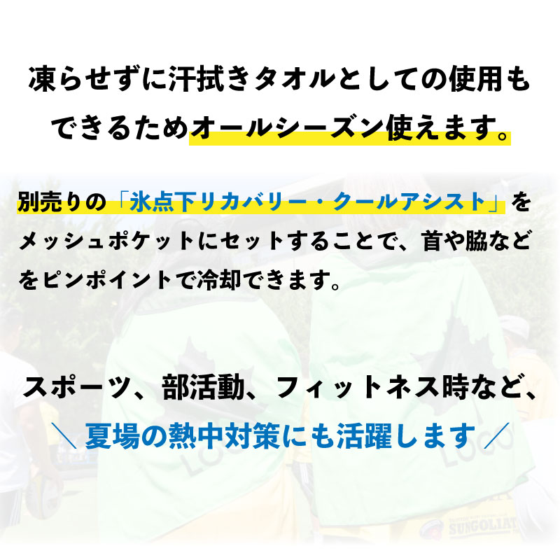 LOGOS ロゴス 氷点下リカバリー・クールボディタオル グリーン グレー / 81336810 81336811