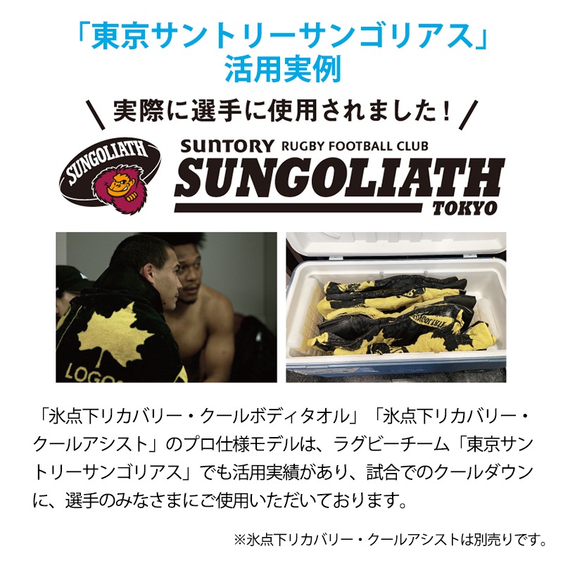 LOGOS ロゴス 氷点下リカバリー・クールボディタオル グリーン グレー / 81336810 81336811