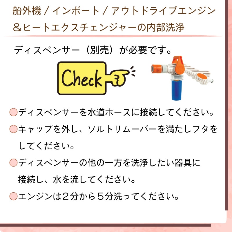 Desalt デソルト ソルトリムーバー 原液2リットル / 塩分除去剤 塩害 腐食 防止