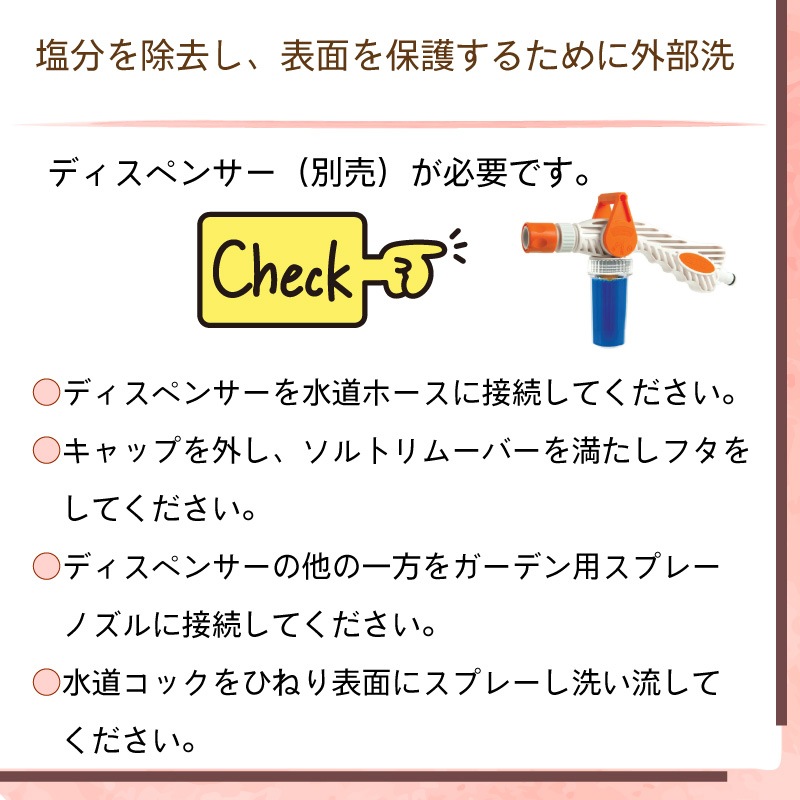 Desalt デソルト ソルトリムーバー 原液2リットル / 塩分除去剤 塩害 腐食 防止