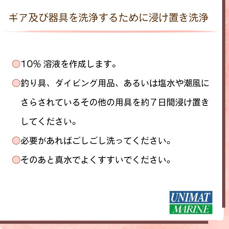 Desalt デソルト ソルトリムーバー 原液2リットル / 塩分除去剤 塩害 腐食 防止