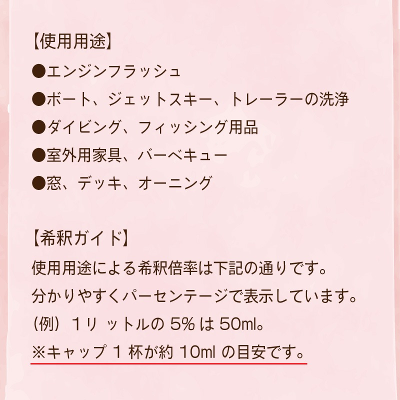 Desalt デソルト ソルトリムーバー 原液2リットル / 塩分除去剤 塩害 腐食 防止