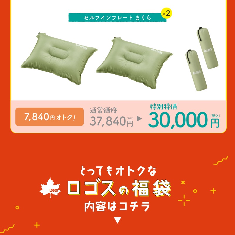 【★2026年福袋★】LOGOS ロゴス 福袋 アリーバまくらセット① / 抗菌防臭 丸洗いアリーバ・-15×2 72940162 / セルフインフレート まくら×2 72884223