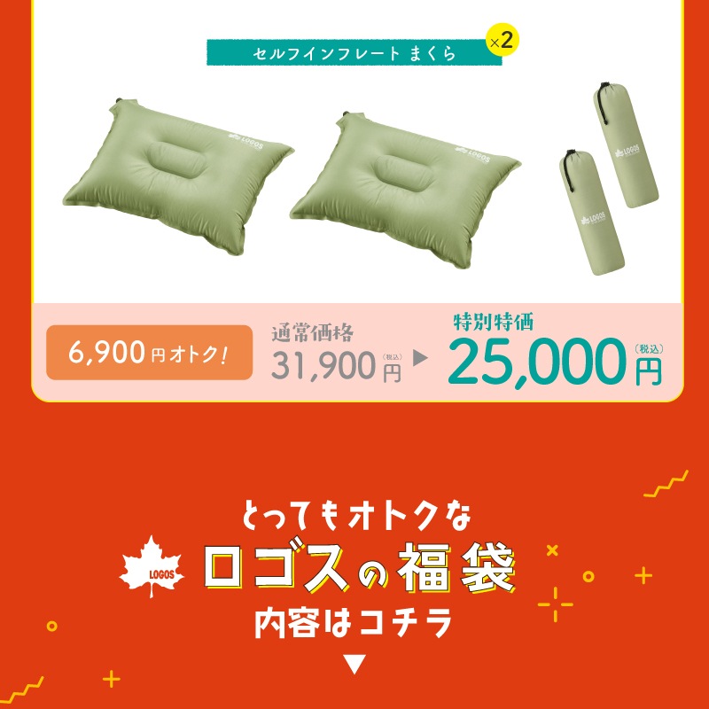 【★2026年福袋★】LOGOS ロゴス 福袋 アリーバまくらセット② / 抗菌防臭 丸洗いアリーバ・-6×2 72940152 / セルフインフレート まくら×2 72884223