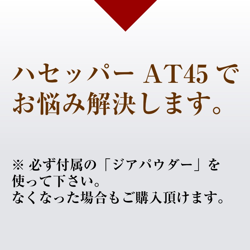 ハセッパーAT45 除菌 抗菌 消臭 超音波式 次亜塩素酸 噴霧器 36畳対応 / ジアパウダー付き