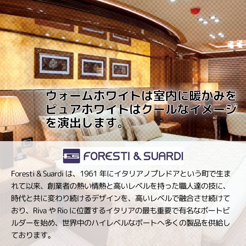 Foresti&Suardi ANTARES インテリア/エクステリアライト 6120 ウォームホワイト ルームライト LED