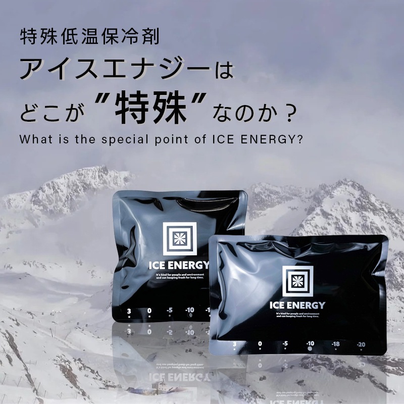 ICE ENERGY アイスエナジー 特殊低温保冷剤 -10℃ 500g / 2個セット グッドデザイン賞 名古屋市産業復興公社理事長賞 長時間保冷 日本製