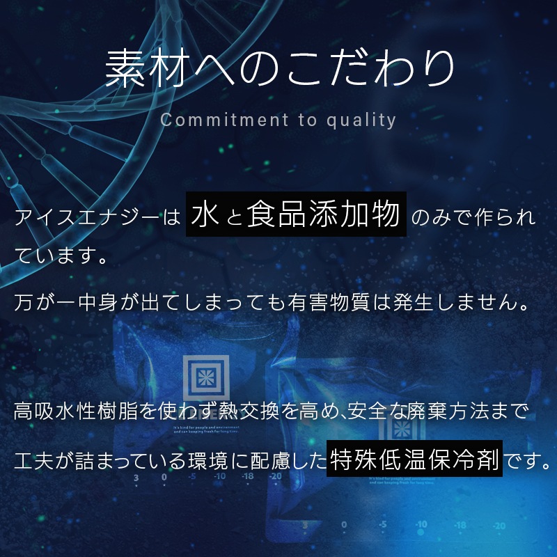ICE ENERGY アイスエナジー 特殊低温保冷剤 -10℃ 500g / 2個セット グッドデザイン賞 名古屋市産業復興公社理事長賞 長時間保冷 日本製
