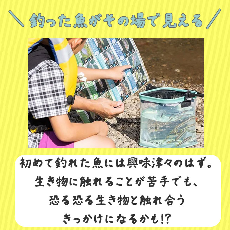 【選択あり】ADVANDER アドバンダー CHILL TANK 透明バケツ / ジェイド  ホワイト グレー