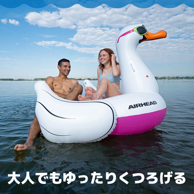 AIRHEAD COOL SWAN クールスワン / インフレータブル プールフロート 海 マリン レジャー 白鳥