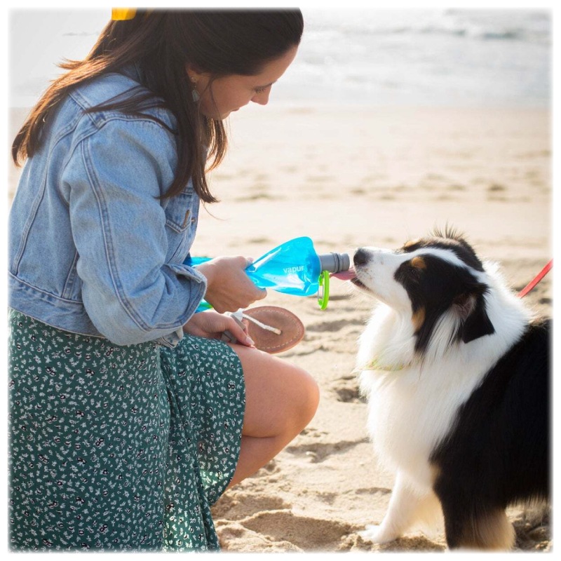 vapur ヴェイパー 折り畳める 犬用給水器 EZ Lick Dog Bottle Water 0.7L / ブルー 700ml 水飲み 散歩
