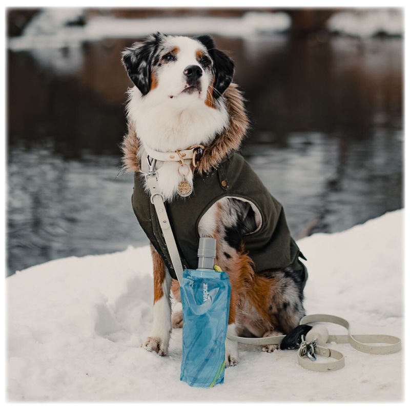 vapur ヴェイパー 折り畳める 犬用給水器 EZ Lick Dog Bottle Water 0.7L / ブルー 700ml 水飲み 散歩