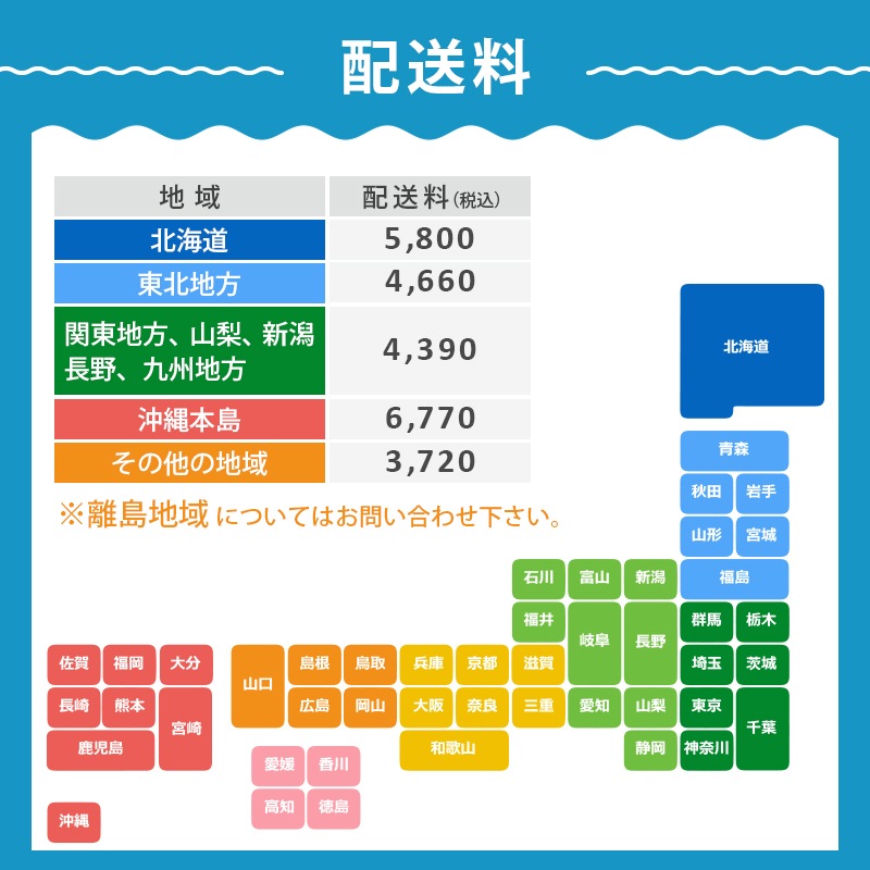 <メーカー直送> chiliboats ウォーターバイク Bikeboat-Rec  / 黄色 イエロー 水上バイク 水上自転車  バイクボート