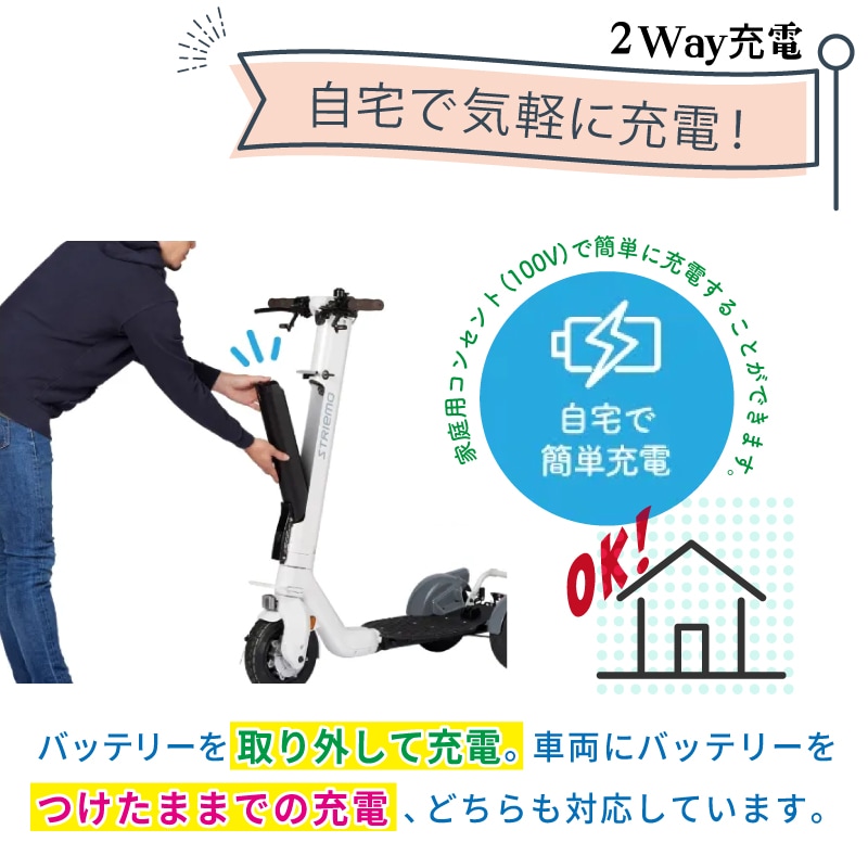 <メーカー直送> STRIEMO ストリーモ・S01JTA 免許不要 立ち乗り三輪モビリティ / 特定原付 マリーナ移動 観光施設 電動 特許技術 初心者 安定