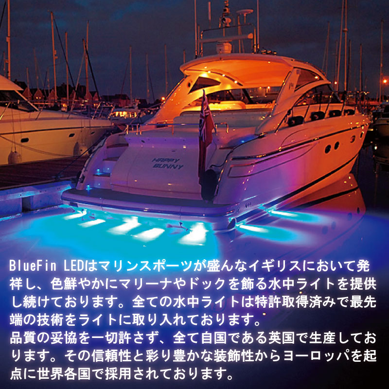 Bluefin LED Piranha P12 ダイヤモンドホワイト 水中ライト12V 24V
