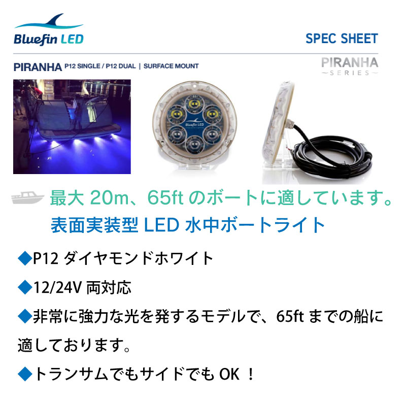 Bluefin LED Piranha P12 ダイヤモンドホワイト 水中ライト12V 24V
