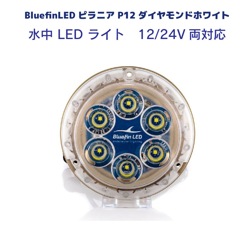 Bluefin LED Piranha P12 ダイヤモンドホワイト 水中ライト12V 24V