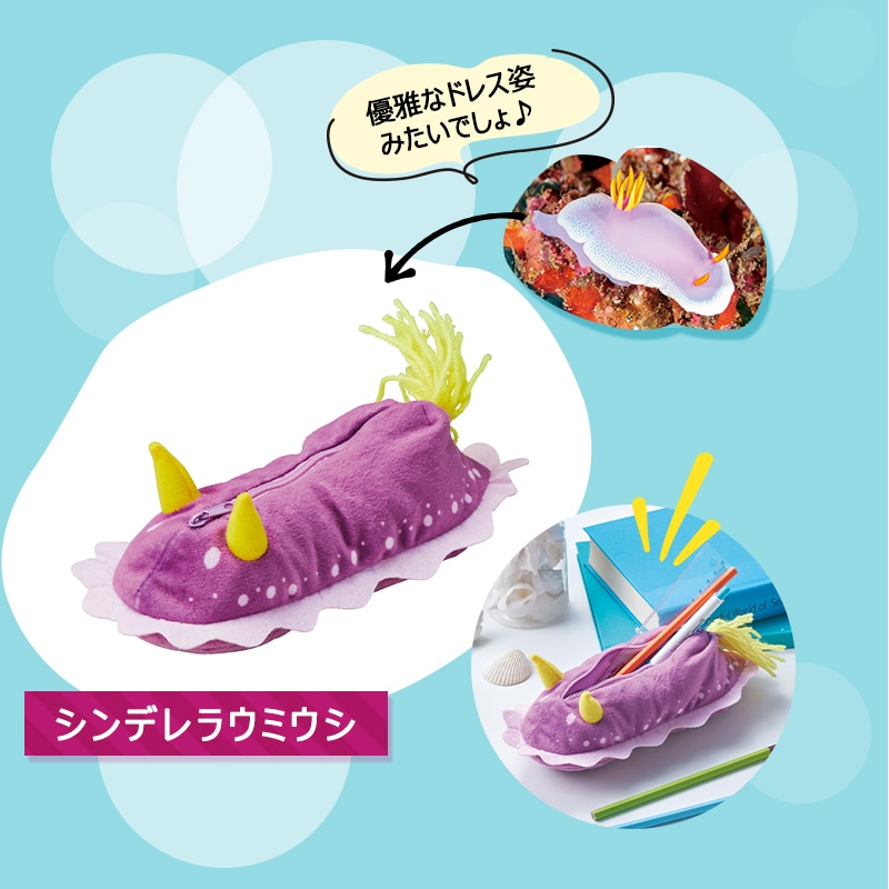 <入荷しました!>【選択あり】 セトクラフト ペンケース ウミウシ / アオウミウシ シンデレラウミウシ ウデフリツノザヤウミウシ
