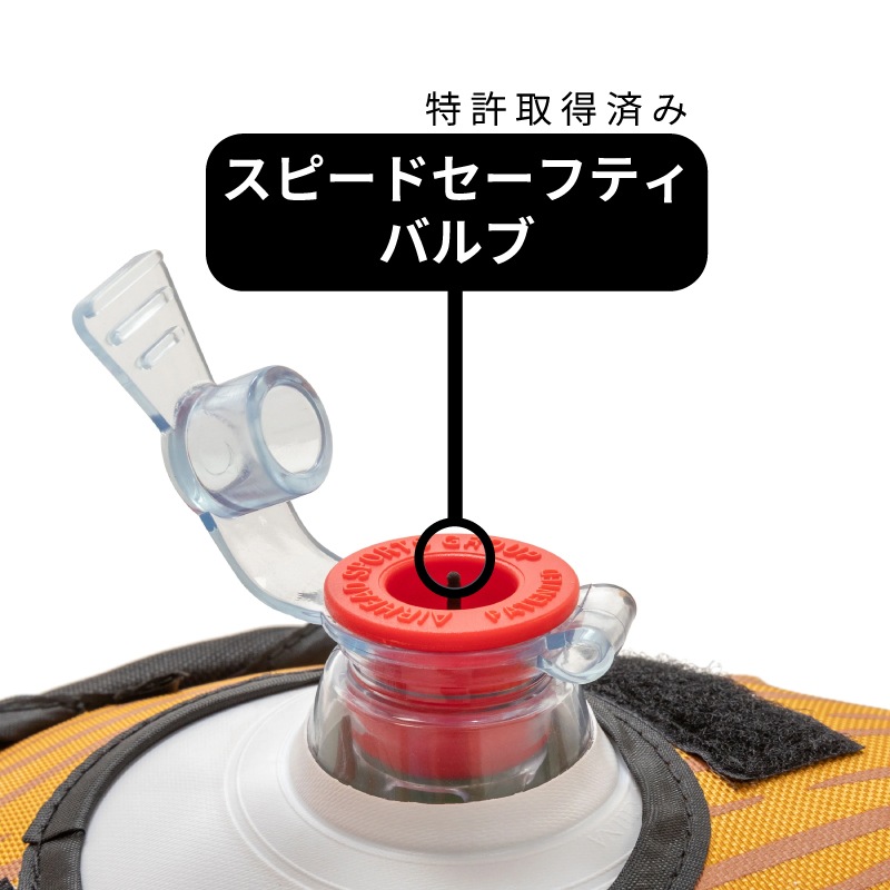 AIRHEAD ホリスリー / ２人乗り トーイングチューブ