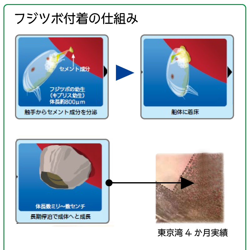 【選択あり】中国塗料 seajet033 シージェット 033　プレミアム 船底塗料 黒 白 青 赤 / マリンペイント ボート 船 塗装