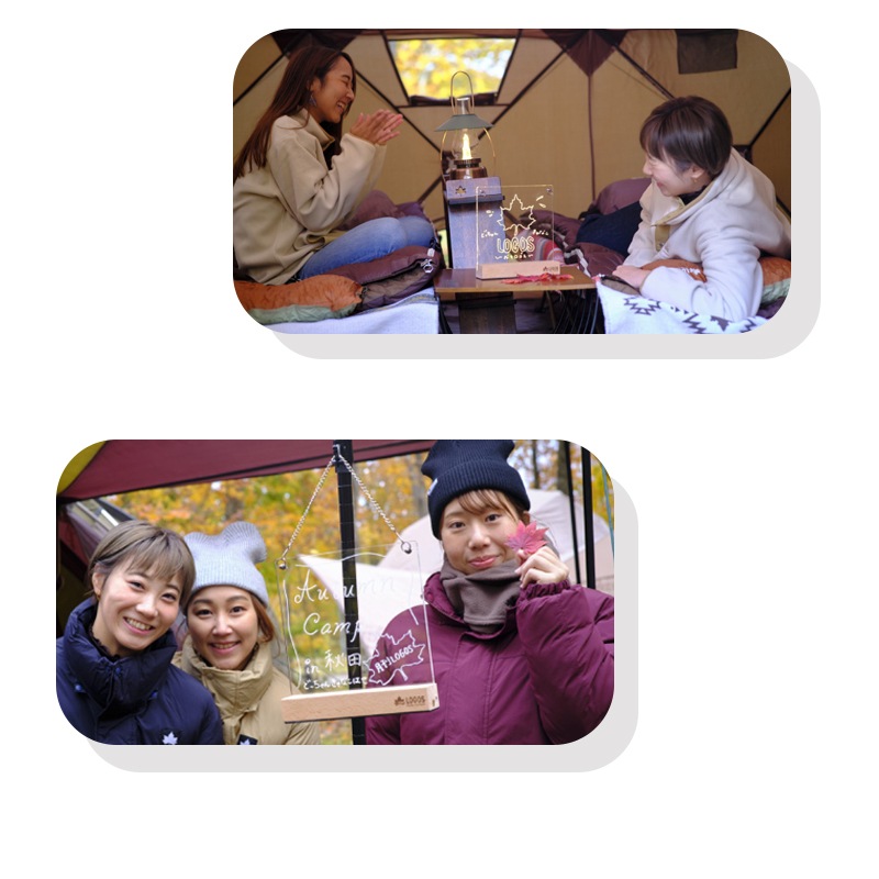 LOGOS ロゴス 光るお絵描きプレート 74175635 / 蓄電式アクリルボード