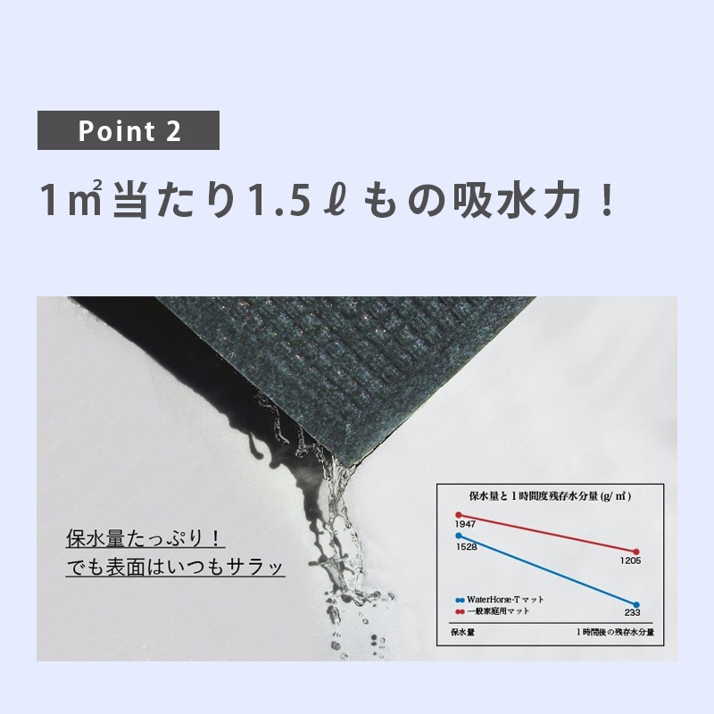 ＜メーカー直送＞【選択あり】クリーンテックス ウォーターホースT 吸水 速乾 マット　/　Mサイズ 62×88cm