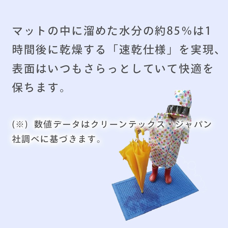 ＜メーカー直送＞【選択あり】クリーンテックス ウォーターホースT 吸水 速乾 マット　/　Mサイズ 62×88cm