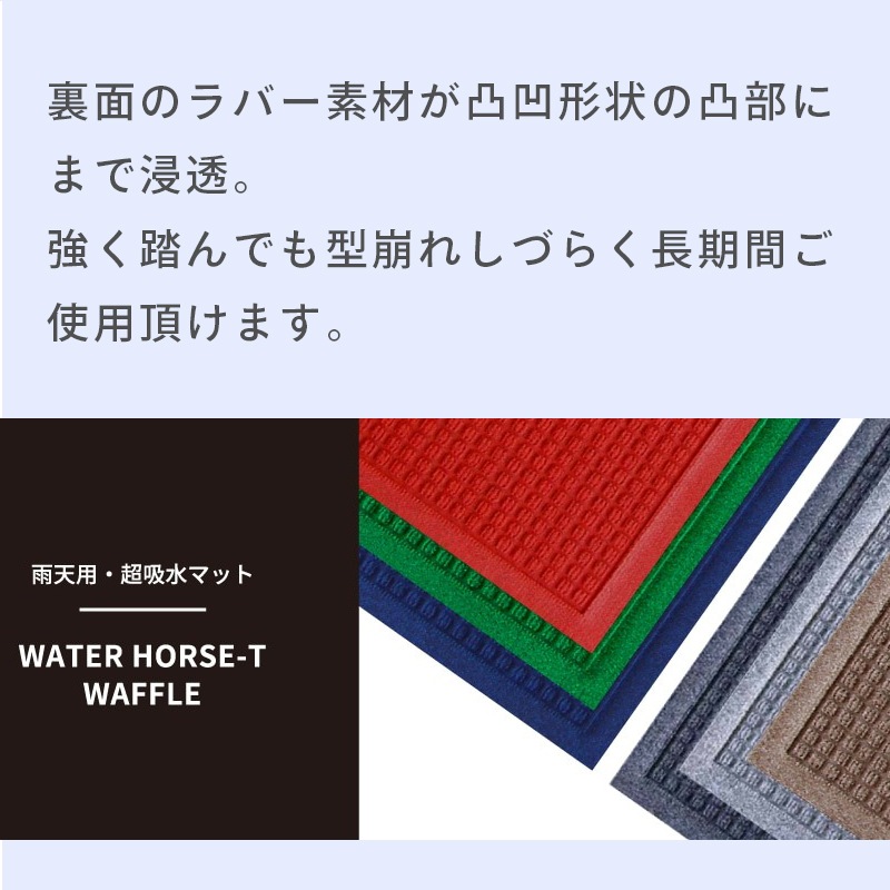 ＜メーカー直送＞【選択あり】クリーンテックス ウォーターホースT 吸水 速乾 マット　/　Mサイズ 62×88cm