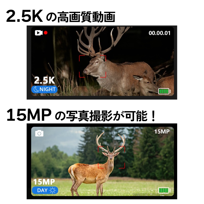 <メーカー直送> ナイトハンターS SO-C01 /暗闇でも撮影できる暗視双眼鏡