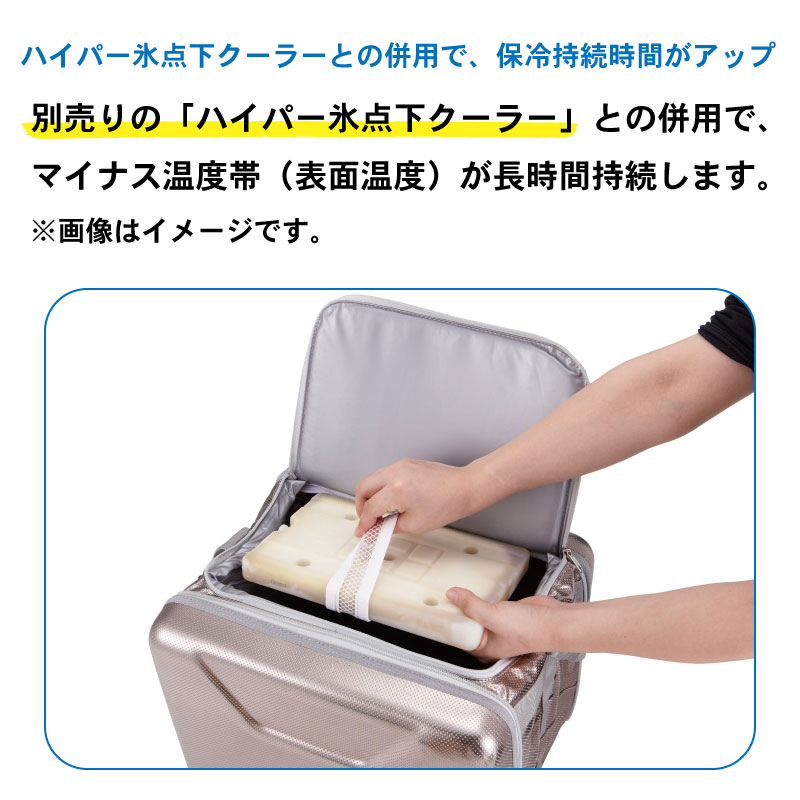 LOGOS ロゴス 氷点下パック GT-16℃ ハード 900g / 81660613 保冷剤 長持ち クーラーボックス 日本製